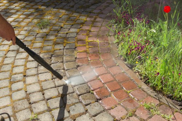 Cost of Walkway Cleaning Service in Ramona