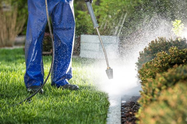 Cost of Curb Cleaning in Ramona