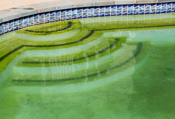 Cost of Pool Deck Algae Removal in Ramona