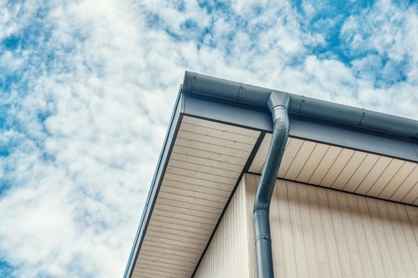 Cost of Fascia Washing in Ramona