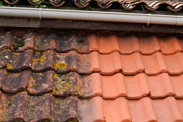 Industrial Roof Cleaning in Ramona