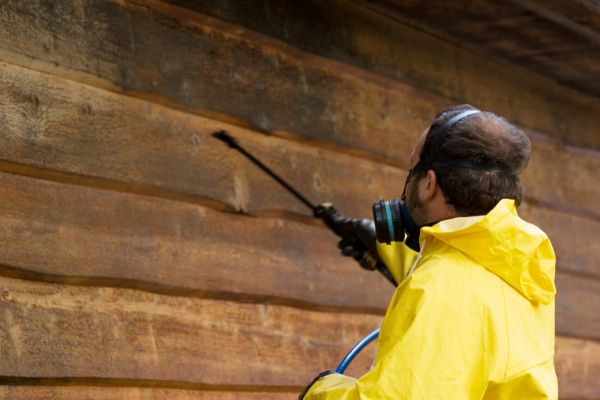 Cost of Cedar Siding Washing in Ramona