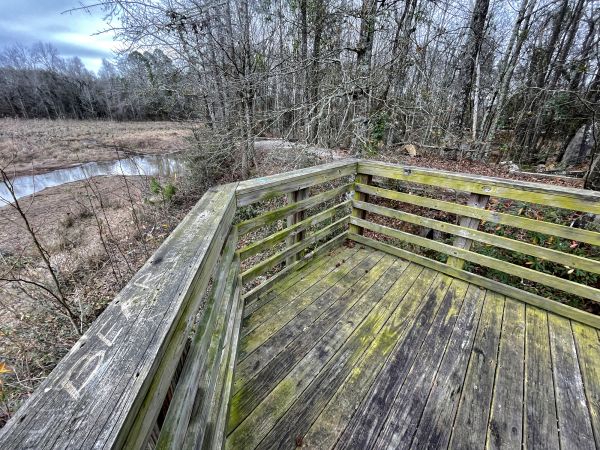 Deck Mold Remediation